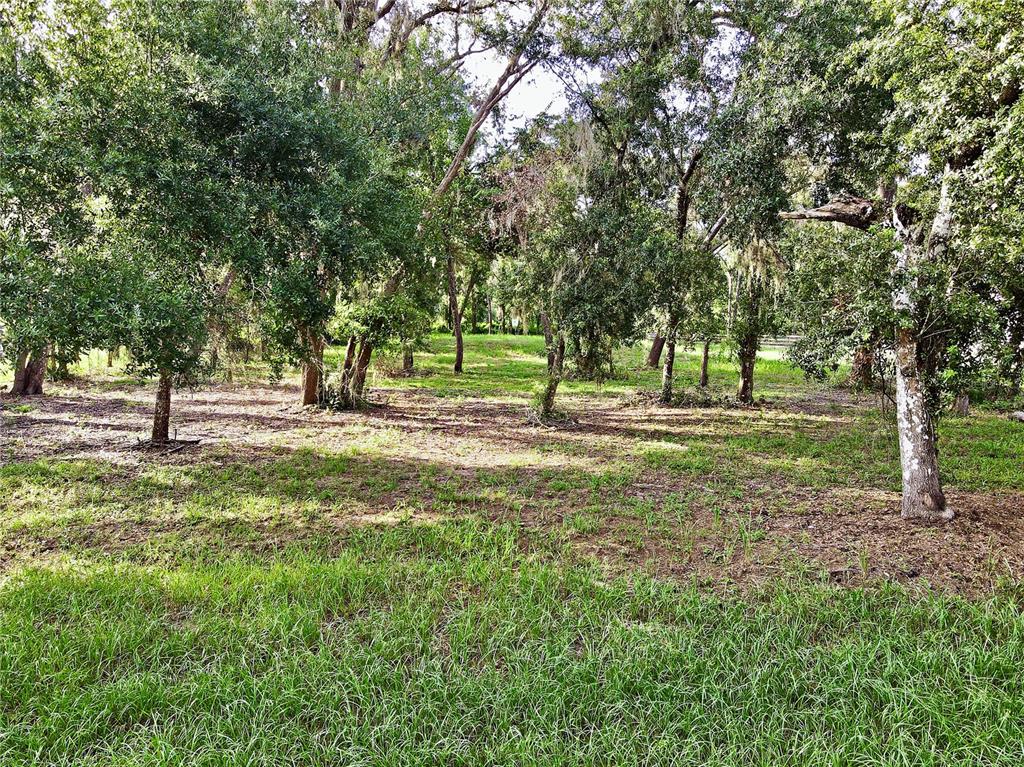 35174 Roth Lane Dade City, FL 33525 - Photo 7 of 22 a view of field with trees