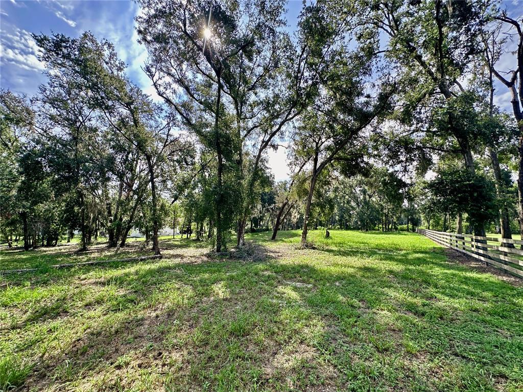 35174 Roth Lane Dade City, FL 33525 - Photo 8 of 22 a big yard with lots of green space and deers