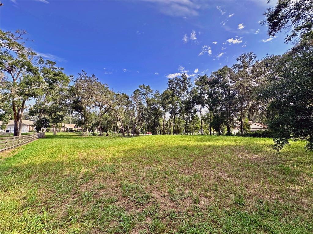 35174 Roth Lane Dade City, FL 33525 - Photo 9 of 22 a view of field with trees in the background