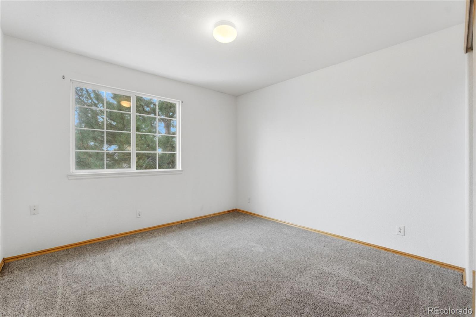 10505 Madison Way Northglenn, CO 80233 - Photo 34 of 49 an empty room with a window