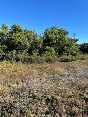 a view of a yard with a tree in the background