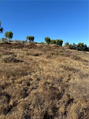 a view of a large building with a tree in the background