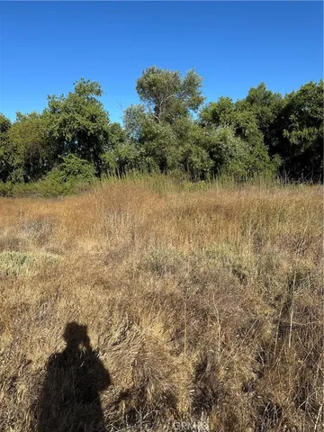 a view of a lake from a yard