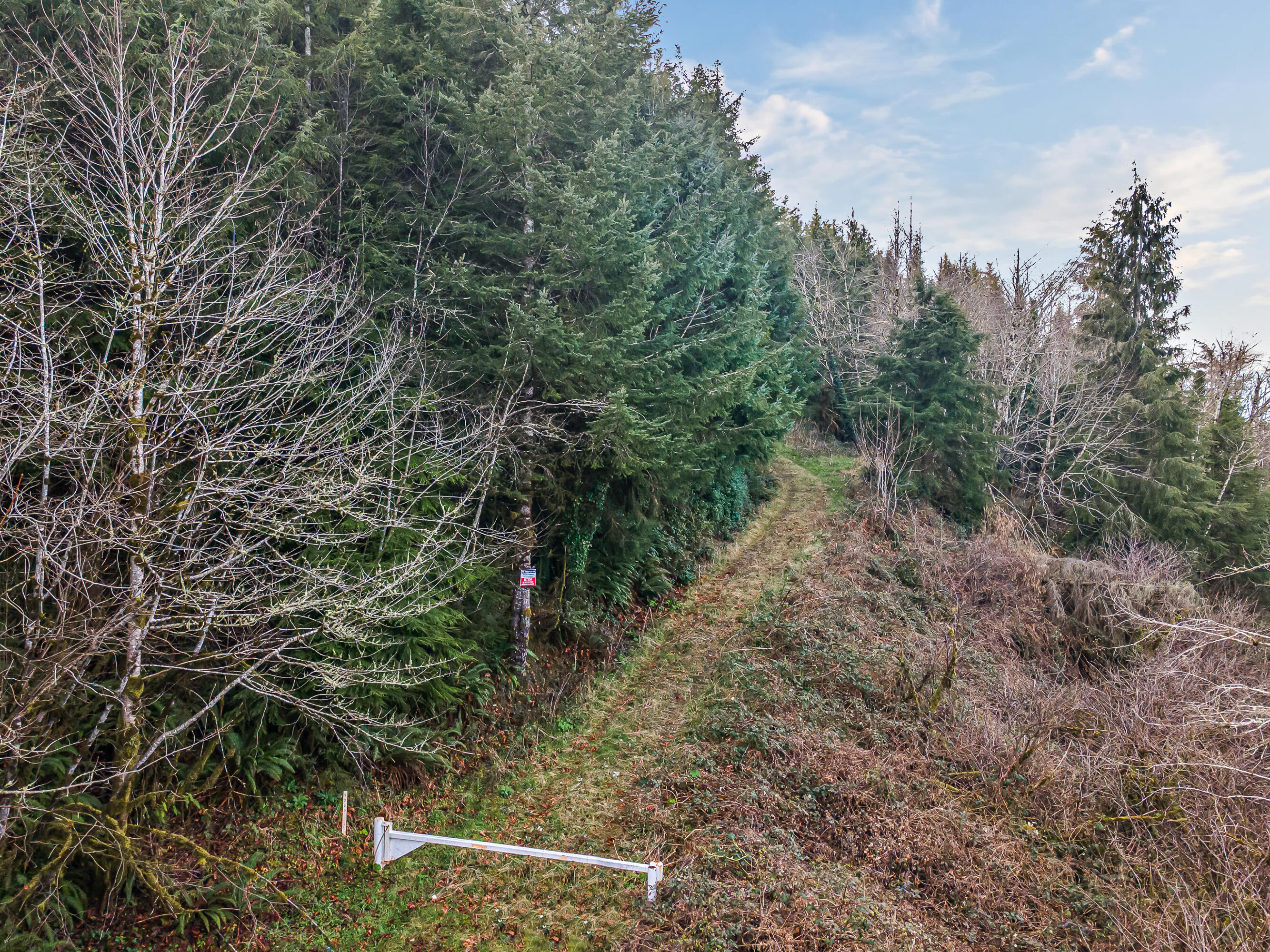 0 Criteser Loop Toledo, OR 97391 - Photo 20 of 31 DJI_0692