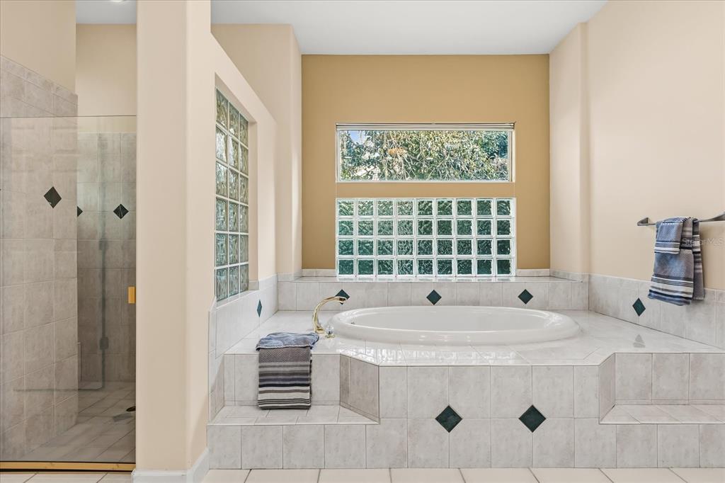 693 Stonefield Loop Lake Mary, FL 32746 - Photo 18 of 40 a bath tub sitting in a bathroom next to a window