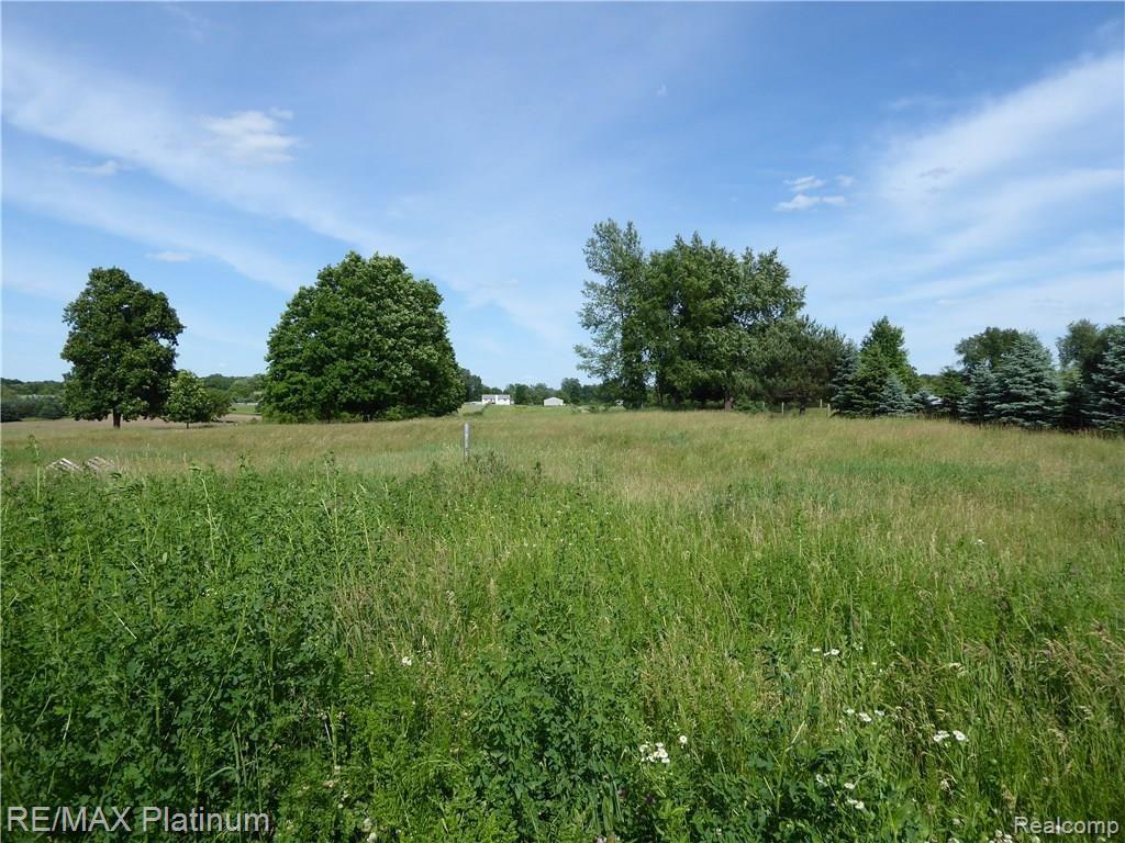 14437 South Reed Road Byron, MI 48418 - Photo 1 of 5 Gallery Image 1