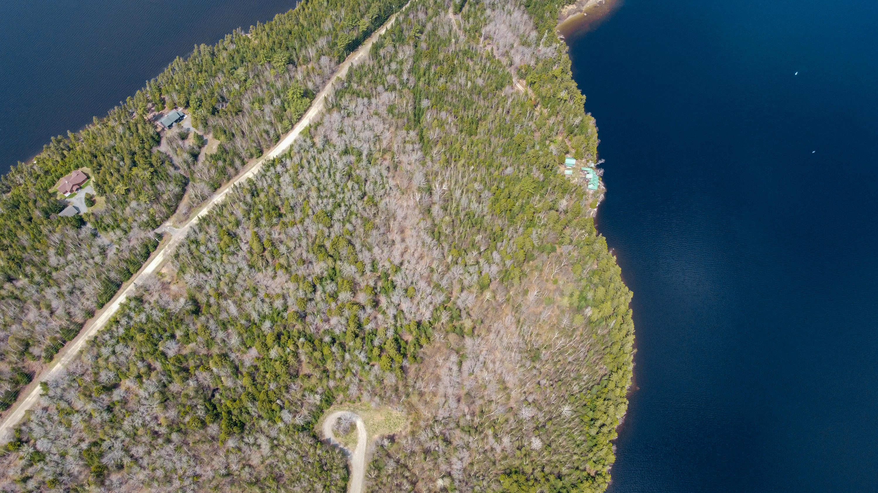 0 Pleasant Island Road Oquossoc, ME 04964 - Photo 64 of 70 Pleasant-Island-96