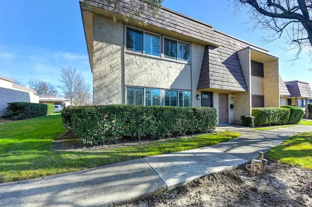 a view of a yard and a tree