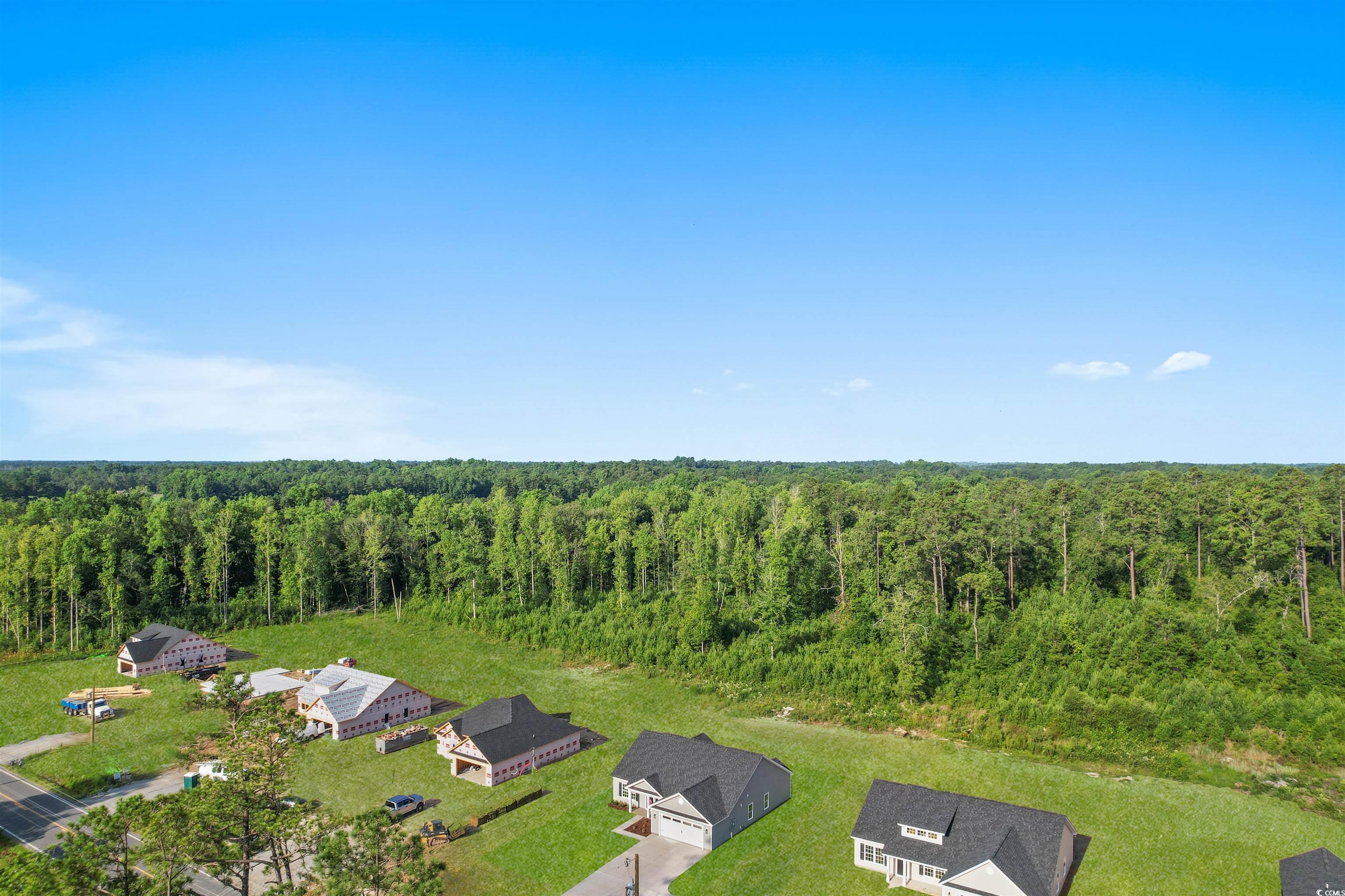 510 Cane Branch Road Loris, SC 29569 - Photo 22 of 28 Gallery Image 22
