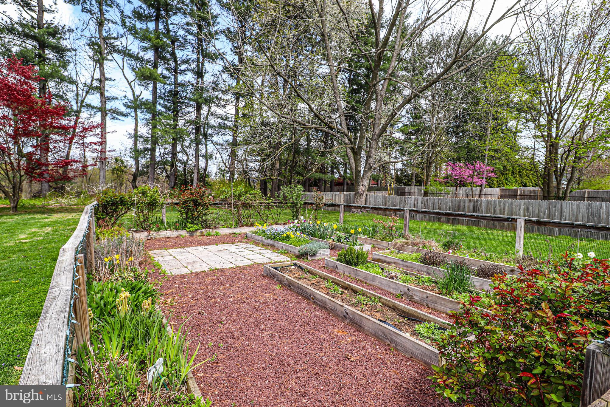 158 West Upper Ferry Road Ewing, NJ 08628 - Photo 25 of 41 Garden