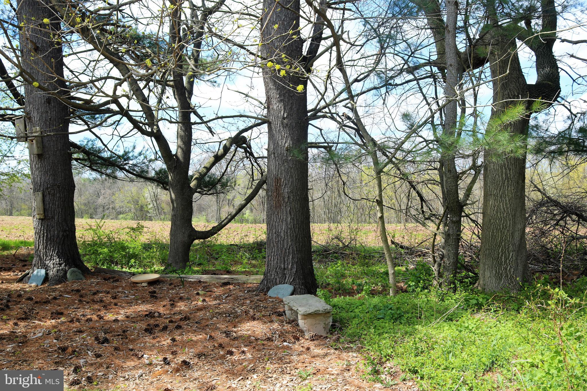 158 West Upper Ferry Road Ewing, NJ 08628 - Photo 28 of 41 Rear yard view