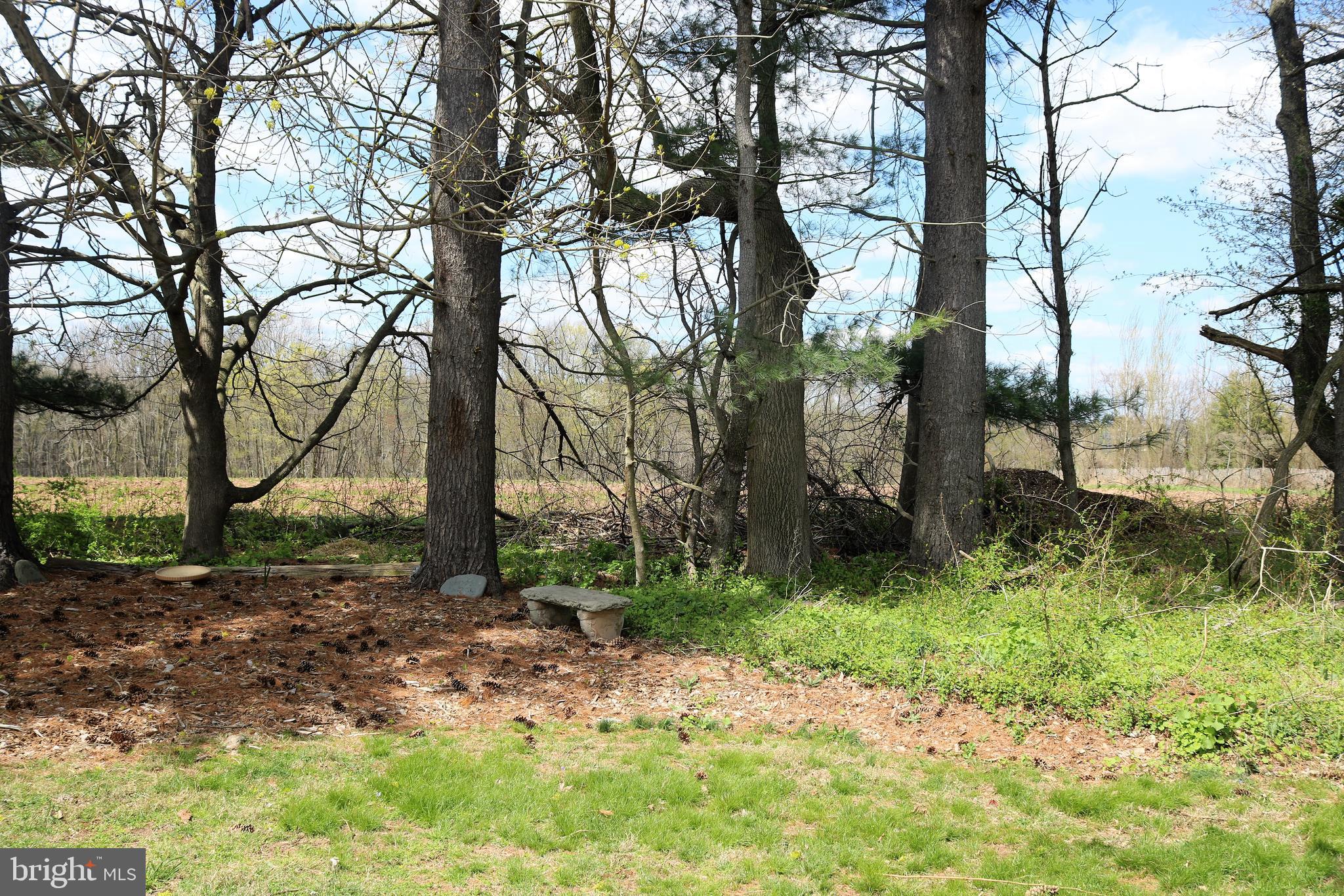 158 West Upper Ferry Road Ewing, NJ 08628 - Photo 30 of 41 Back yard view