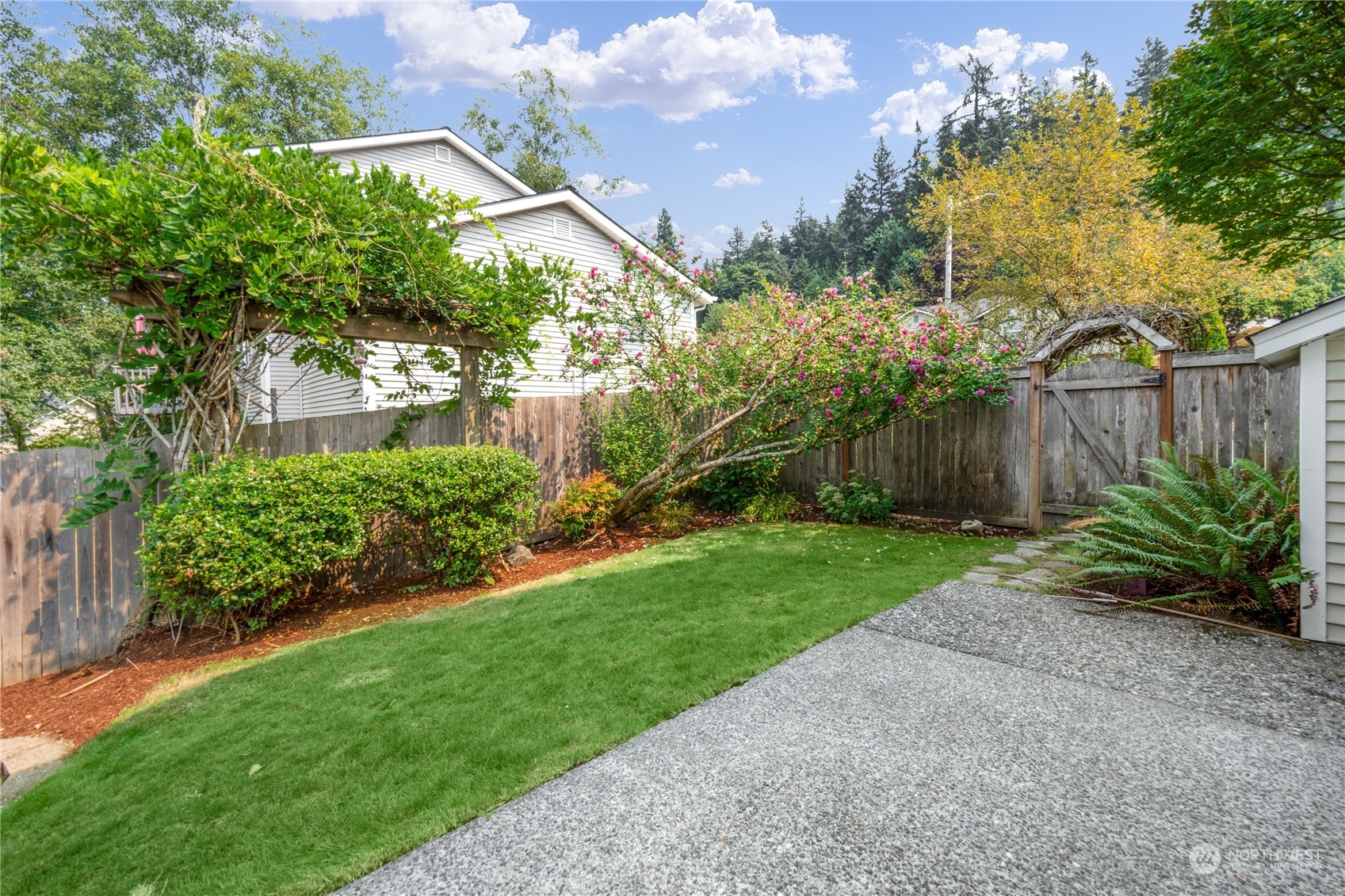 2313 211th Street Southeast Bothell, WA 98021 - Photo 23 of 25 a view of a backyard with plants and large trees