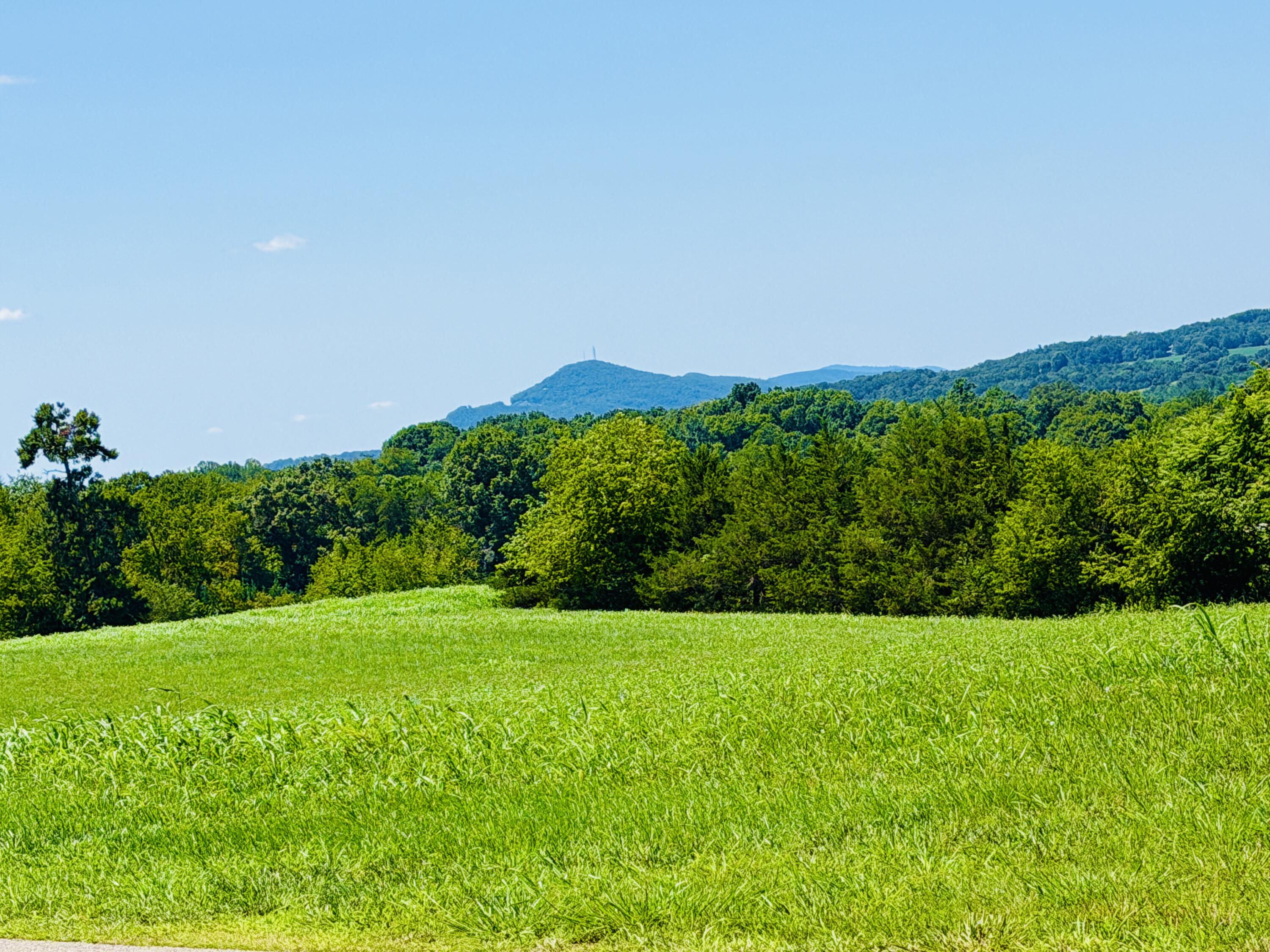 224 Nyle Ridge Road Wirtz, VA 24184 - Photo 13 of 16 IMG_8432