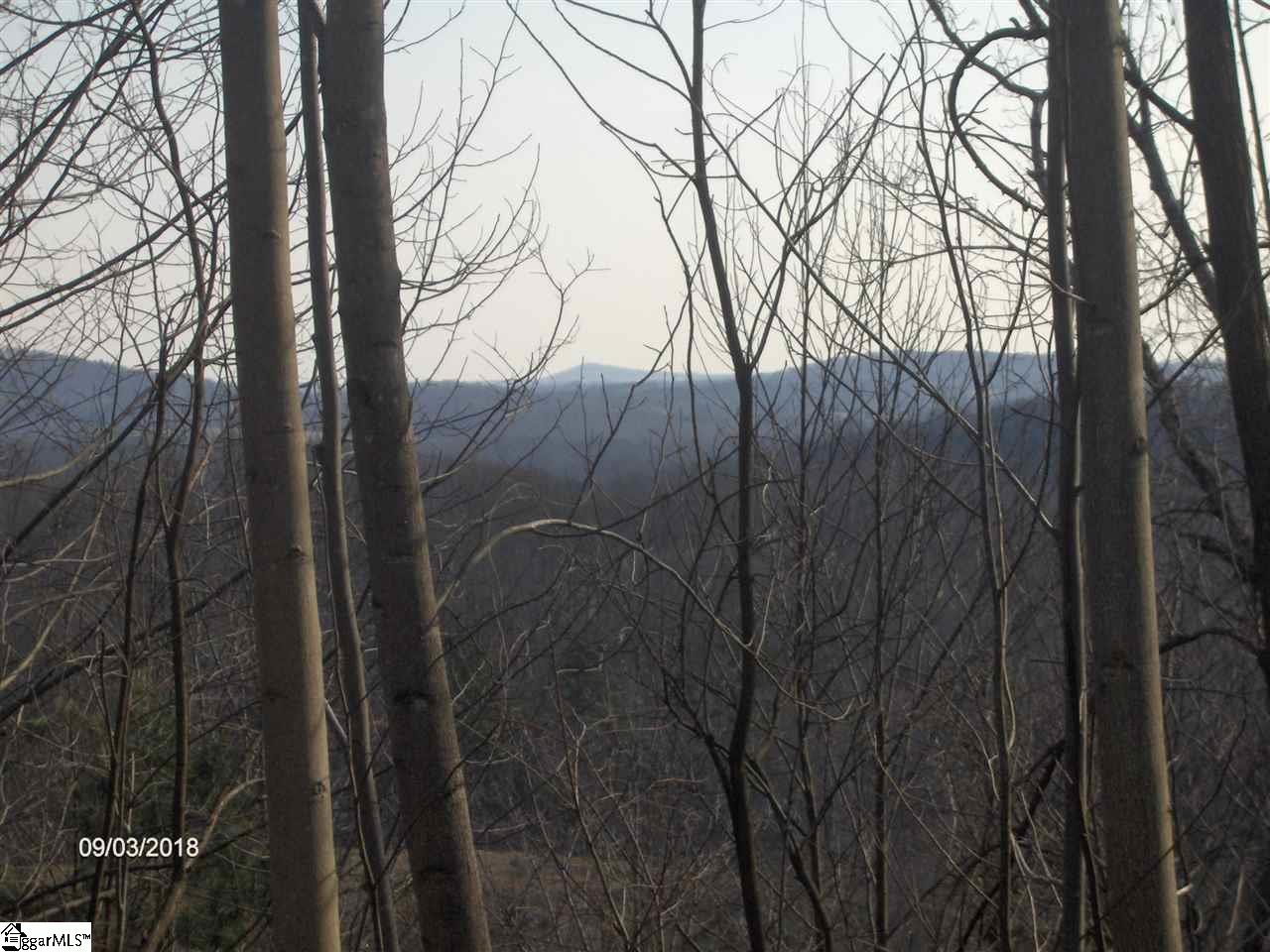 336 Ossie Hayes Road Pickens, SC 29671 - Photo 2 of 2 Gallery Image 2