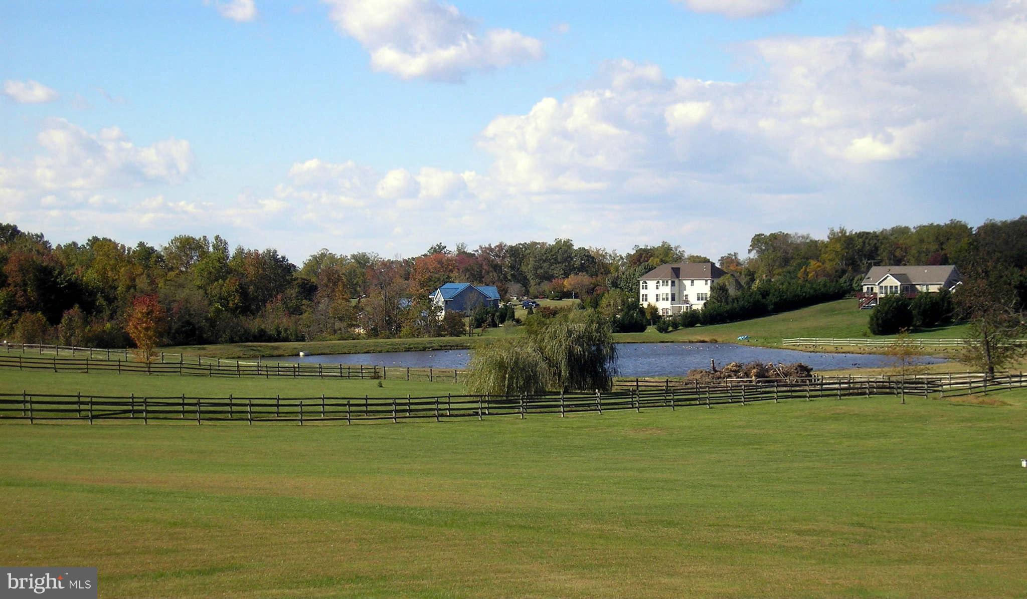 124 Clemencia Road Earleville, MD 21919 - Photo 5 of 29 Scenic View with Pond