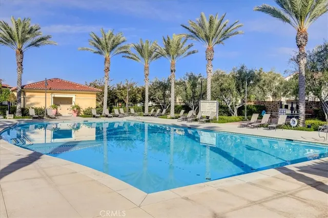 $6,500 | 50 Quarter Horse, Irvine, CA 92602