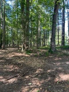 46 Davis Road Hiram, GA 30141 - Photo 14 of 17 a view of outdoor space with trees