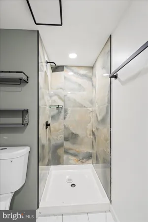 a bathroom with a shower and a toilet