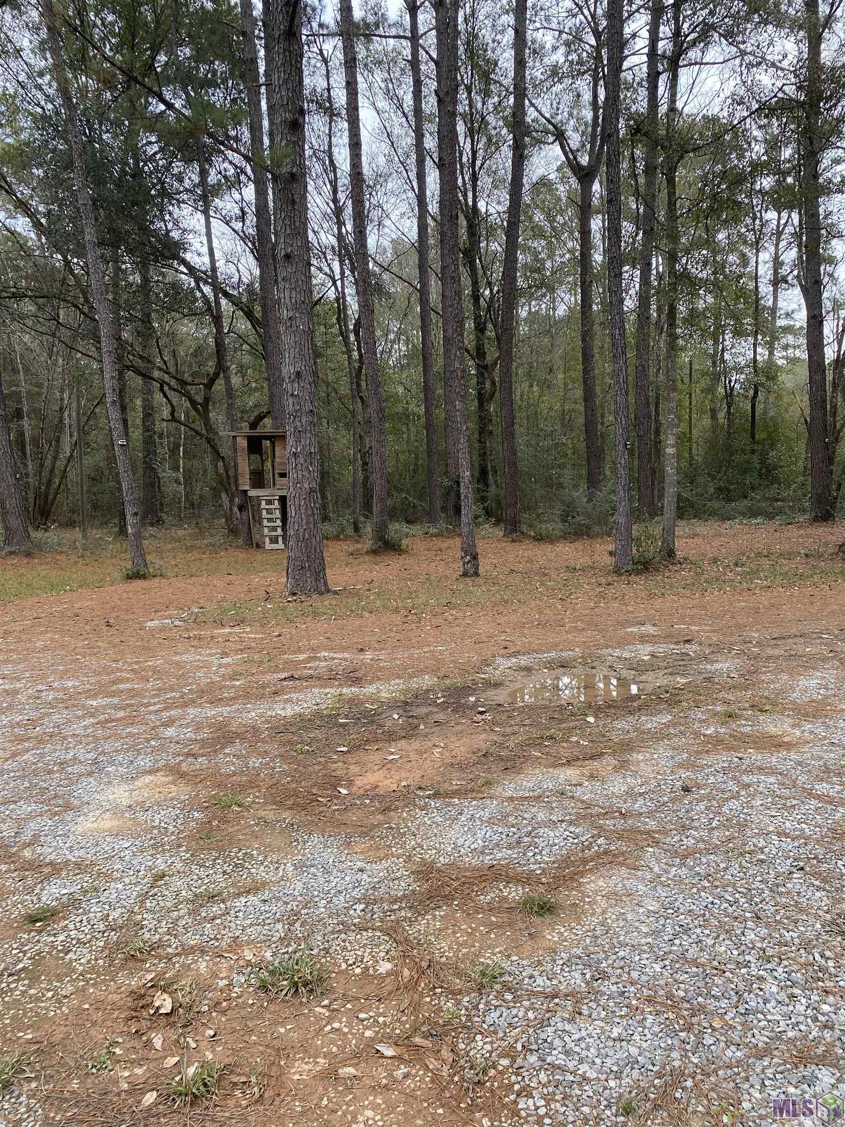 75455 Trinchard Road Covington, LA 70435 - Photo 6 of 32