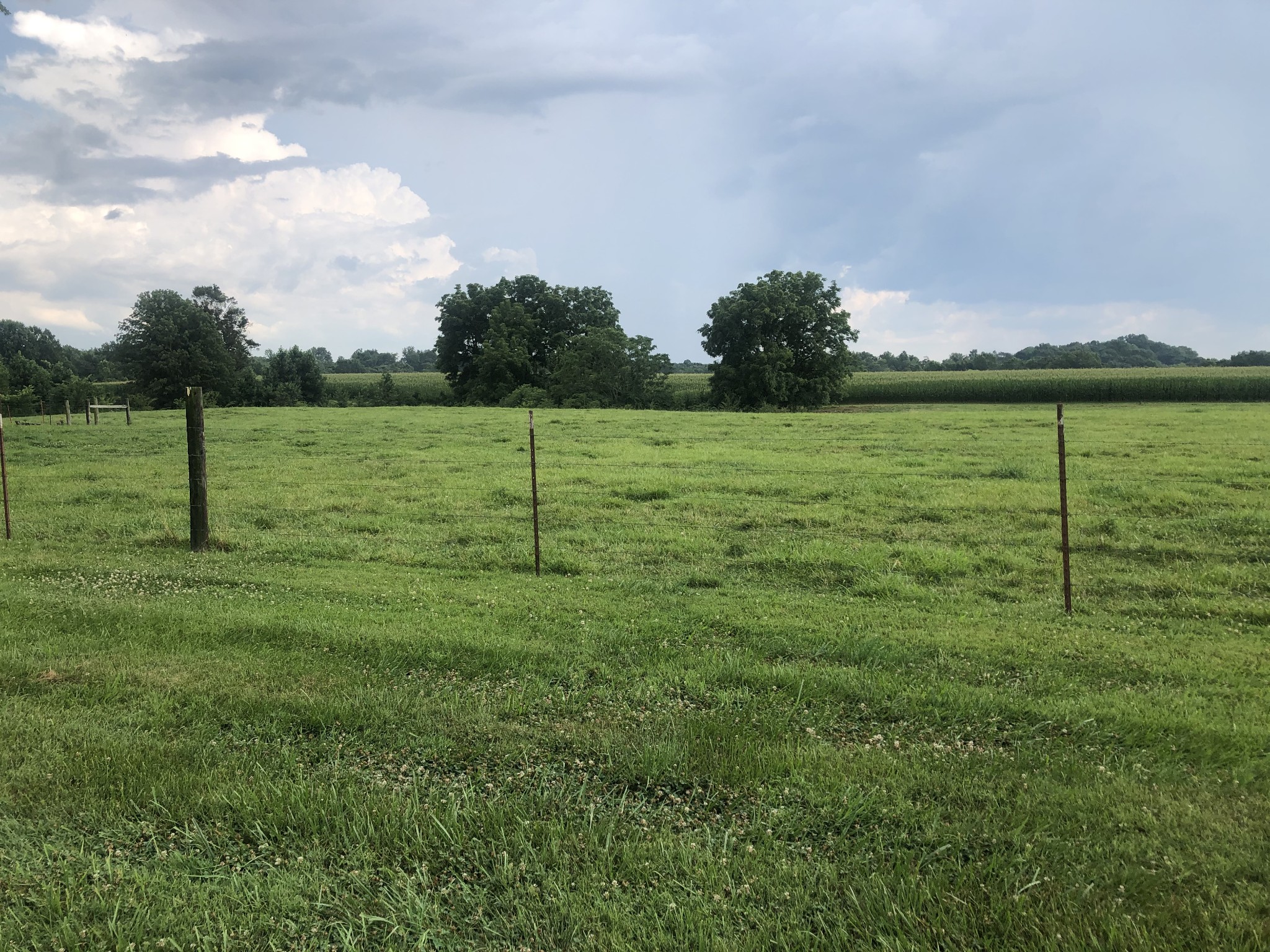 1656 Red Boiling Springs Road Lafayette, TN 37083 - Photo 8 of 38