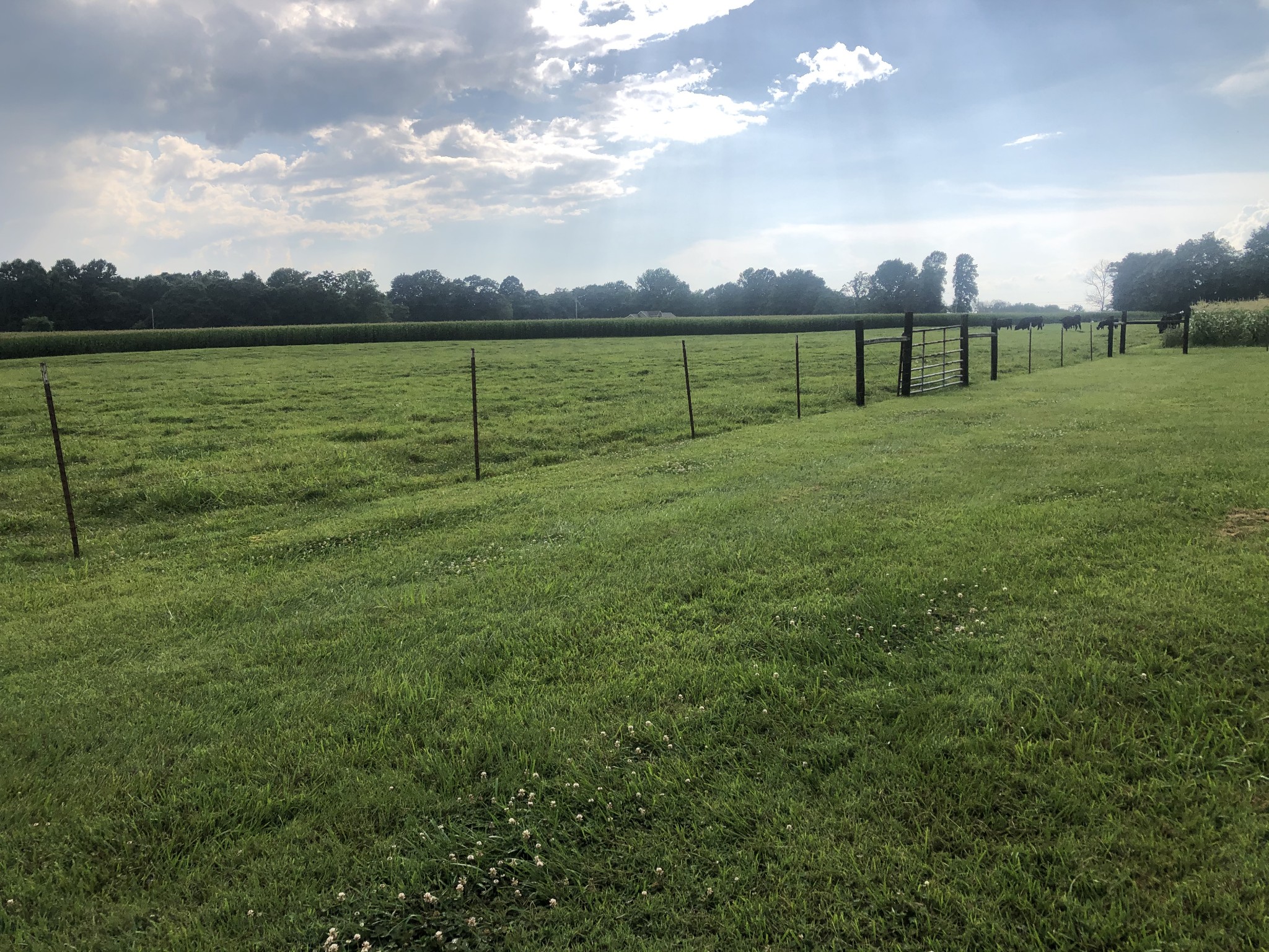 1656 Red Boiling Springs Road Lafayette, TN 37083 - Photo 9 of 38