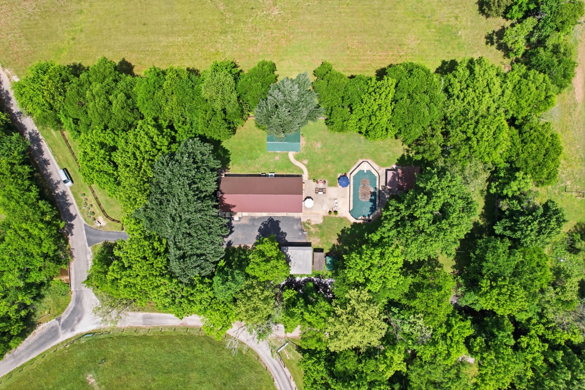 2540 Carl Fox Road Cornersville, TN 37047 - Photo 2 of 48 a view of a garden with lawn chairs