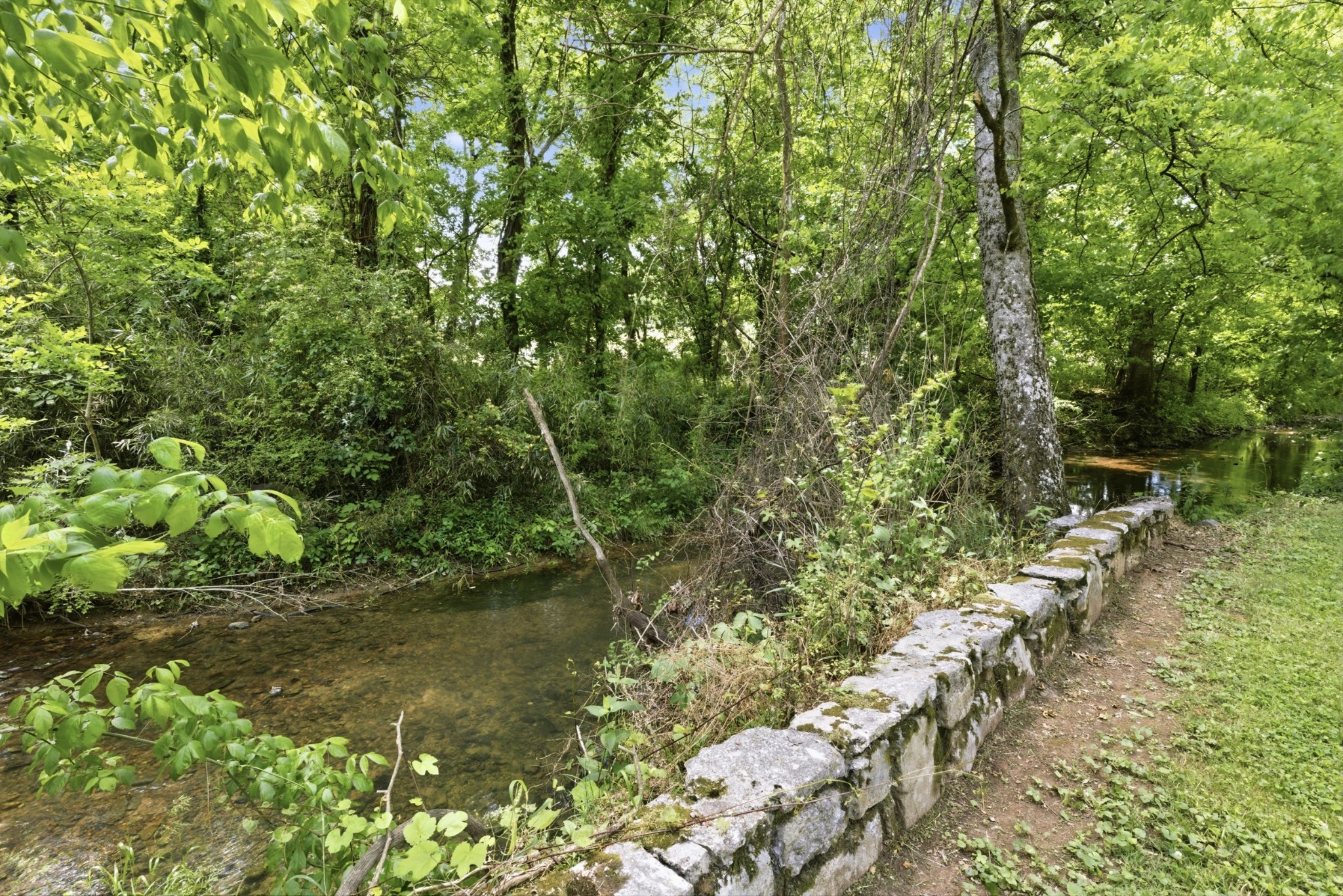 2540 Carl Fox Road Cornersville, TN 37047 - Photo 46 of 48 a view of a lake with a tree