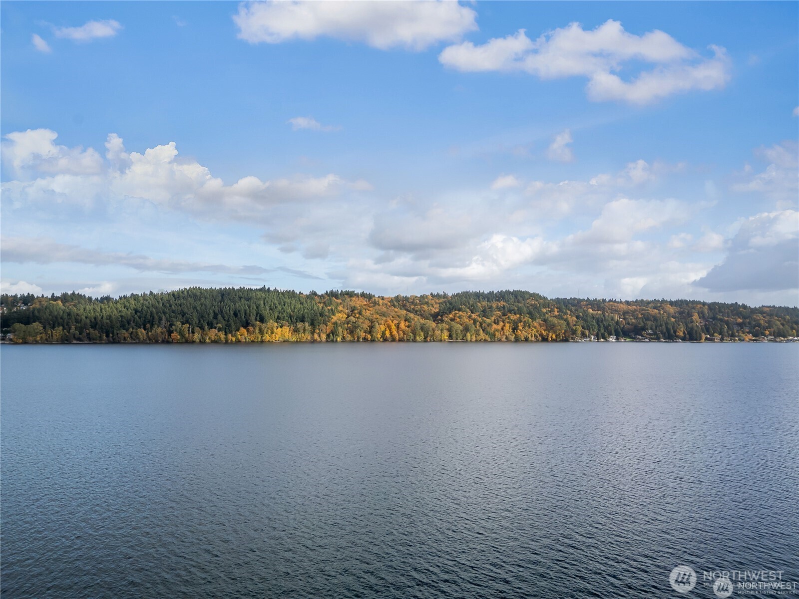 14026 Riviera Place Northeast Seattle, WA 98125 - Photo 38 of 39