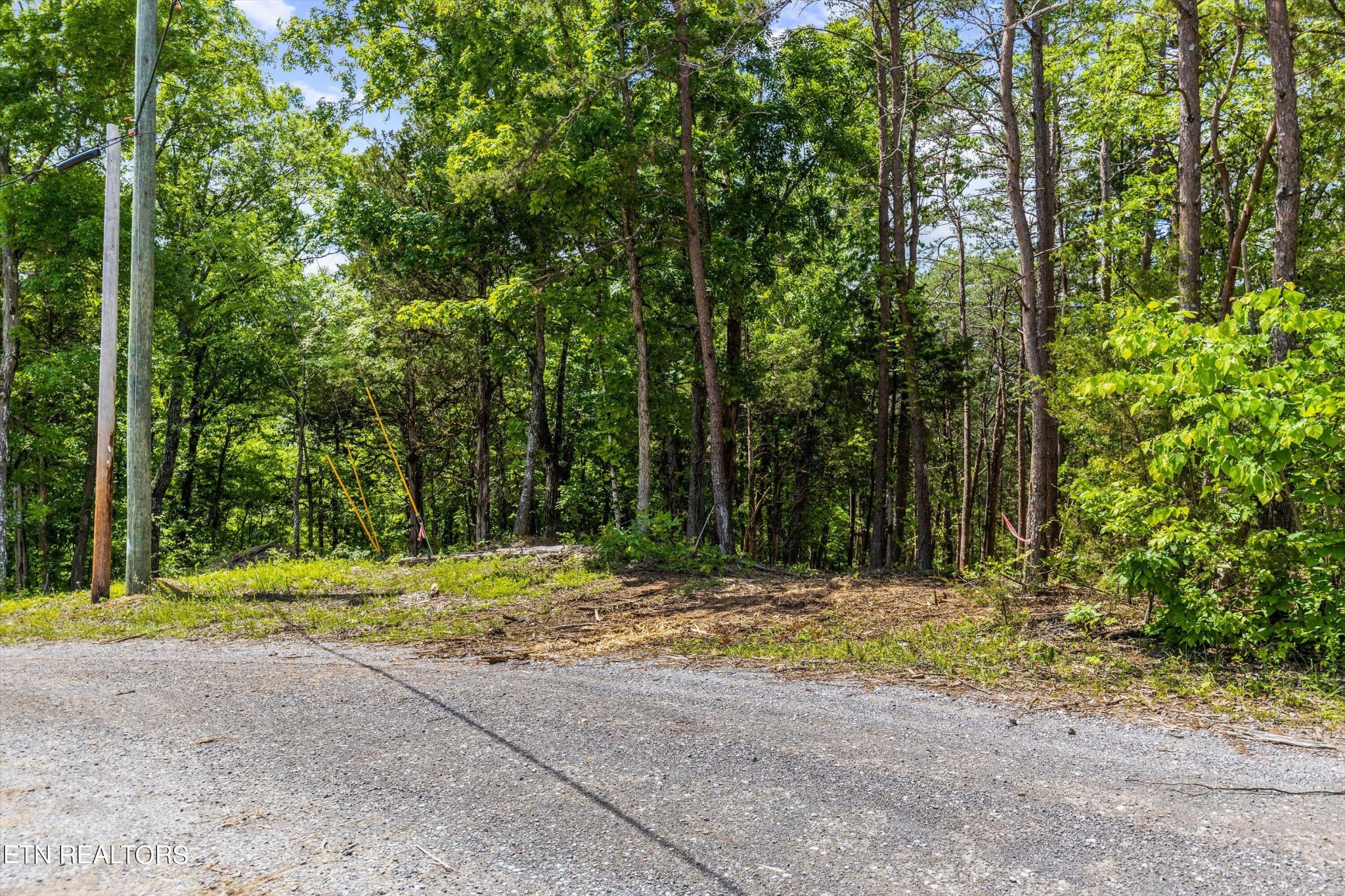 1741 Gator Point Road Sevierville, TN 37876 - Photo 8 of 16 Gallery Image 8