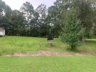 2297 Santee River Road St. Stephen, SC 29479 - Photo 24 of 44 2297 (22)