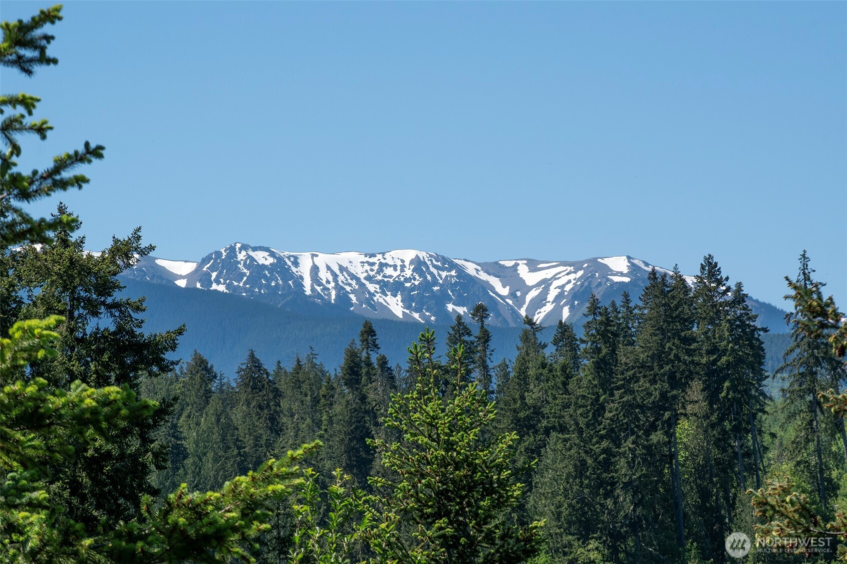 9999 Blue Mountain Road Port Angeles, WA 98362 - Photo 3 of 38 Gallery Image 3
