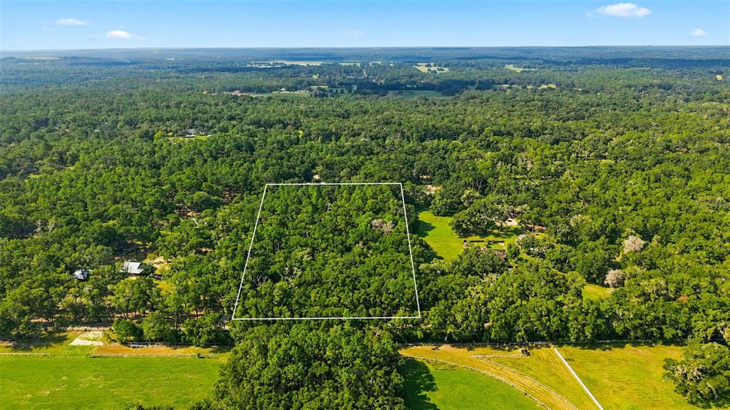 Lonesome Road Brooksville, FL 34601 - Photo 10 of 11 Gallery Image 10