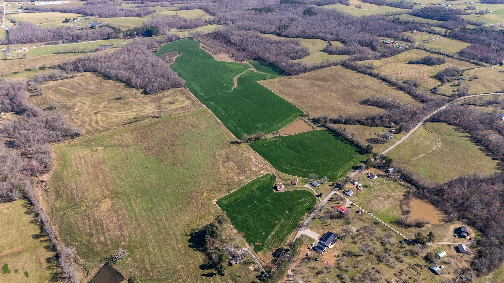 48 Idaho Road Leoma, TN 38468 - Photo 13 of 40 a view of a backyard