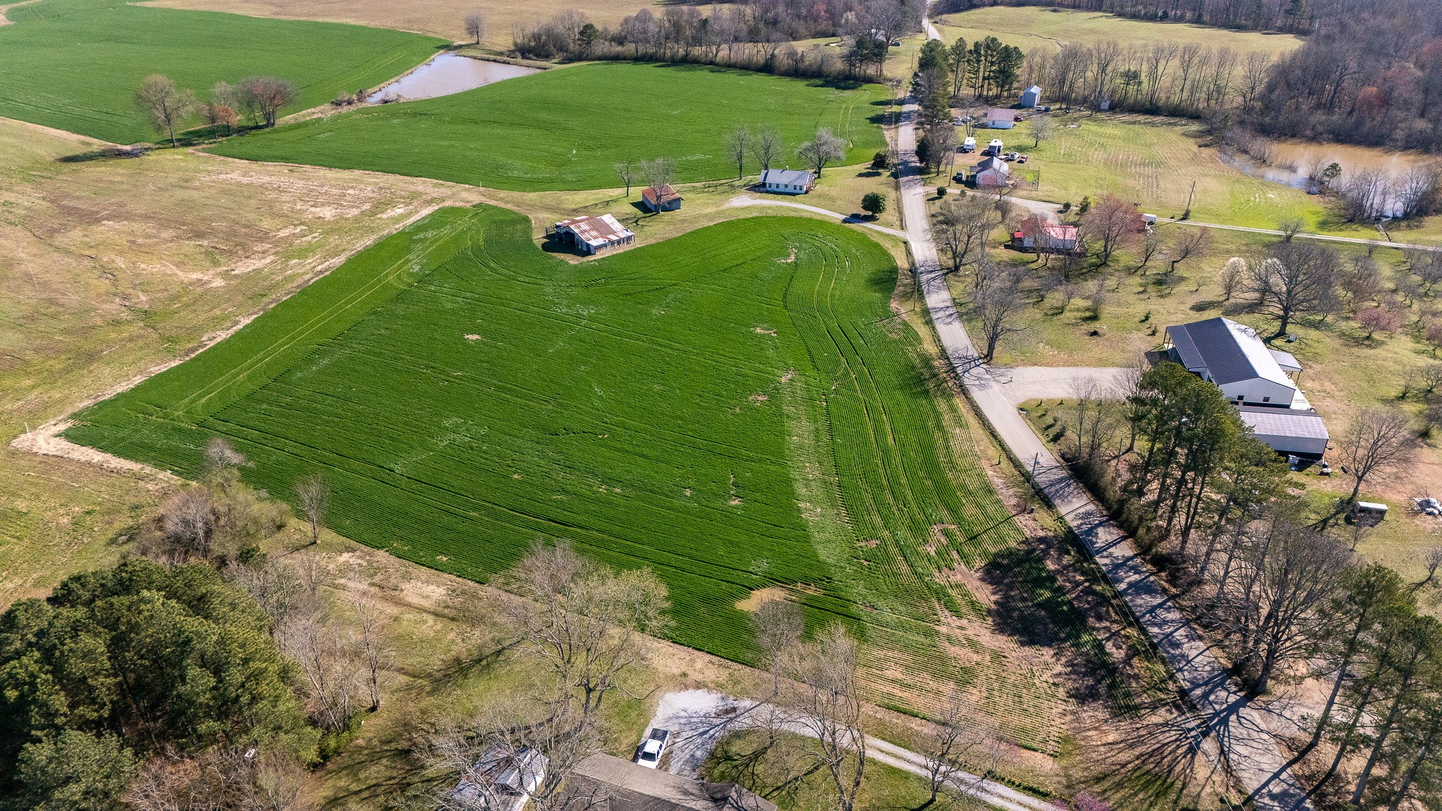 48 Idaho Road Leoma, TN 38468 - Photo 16 of 40 a view of a golf course with parking space