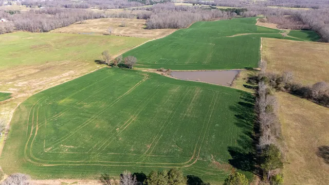 a view of a lake from a yard