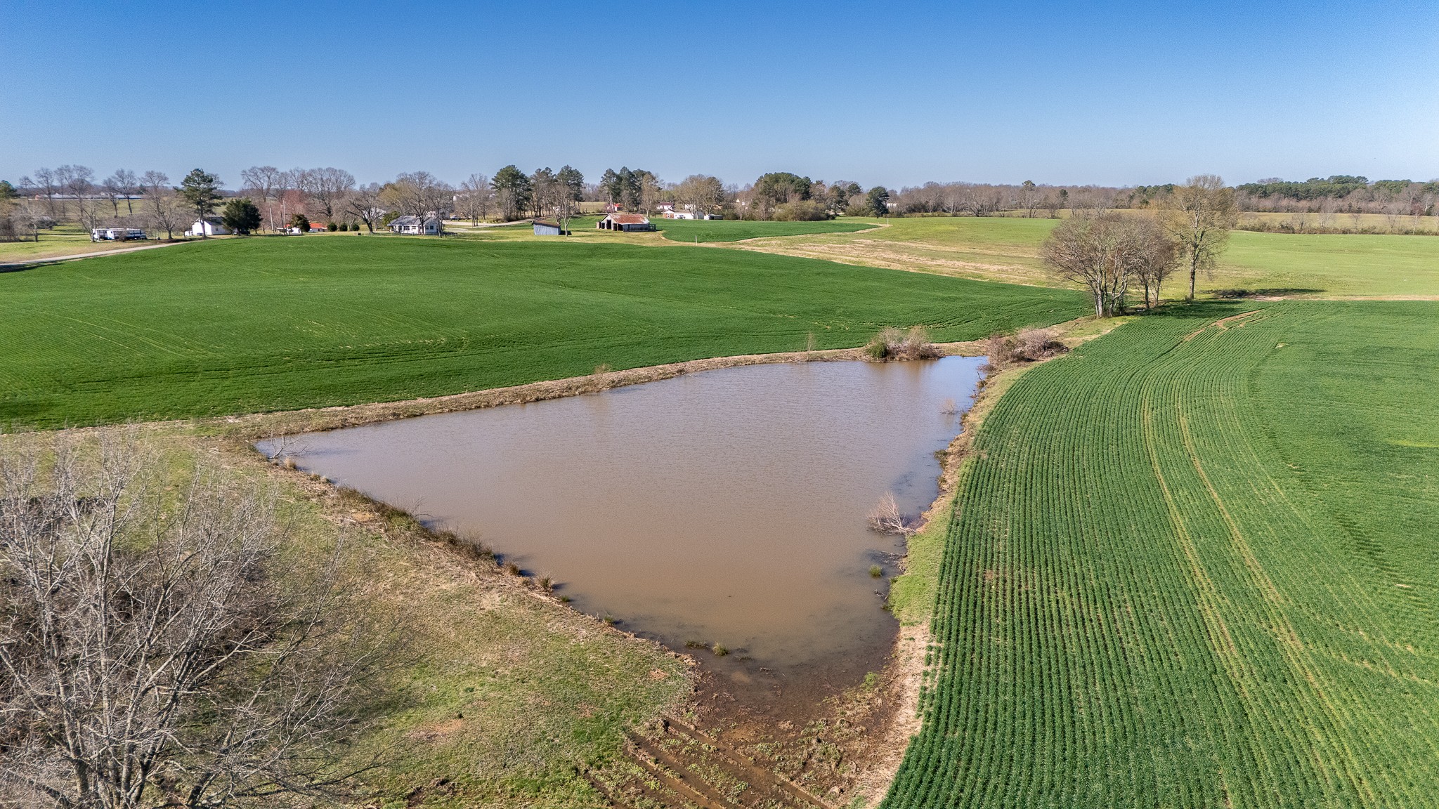 48 Idaho Road Leoma, TN 38468 - Photo 20 of 40 a view of a stadium that has a big yard