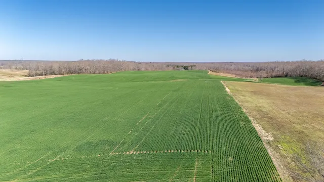 an aerial view of a houses with a yard