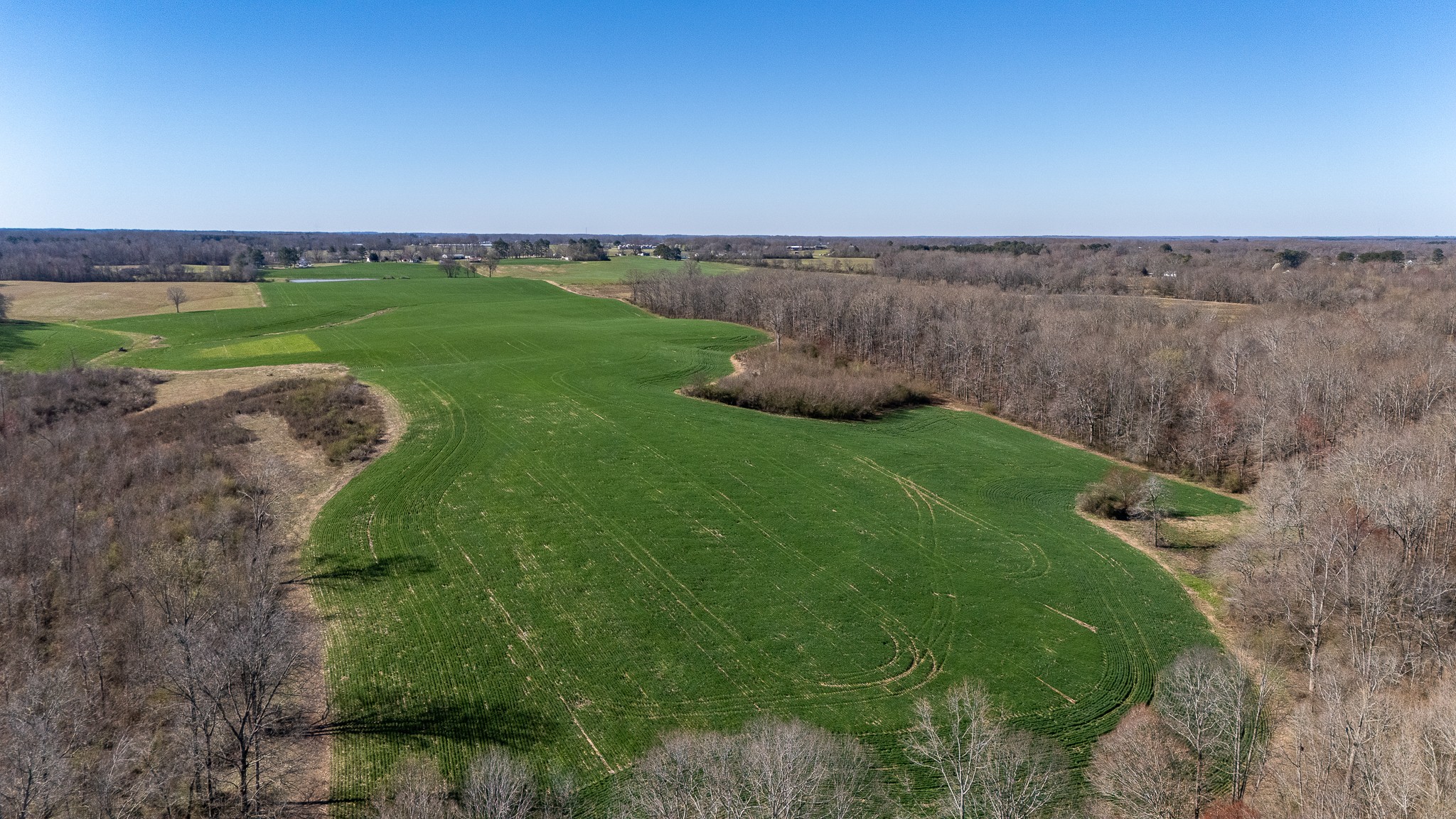 48 Idaho Road Leoma, TN 38468 - Photo 22 of 40 a view of a grassy area