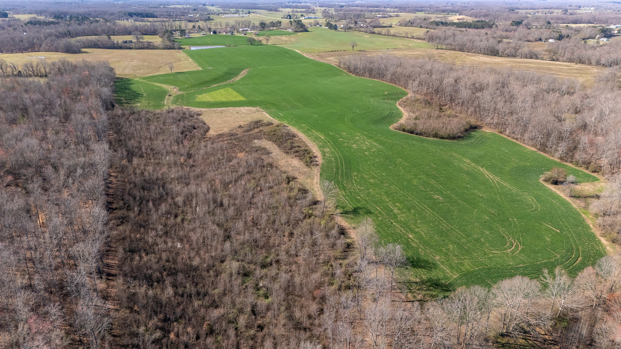 48 Idaho Road Leoma, TN 38468 - Photo 24 of 40 a view of a city street view with ocean view