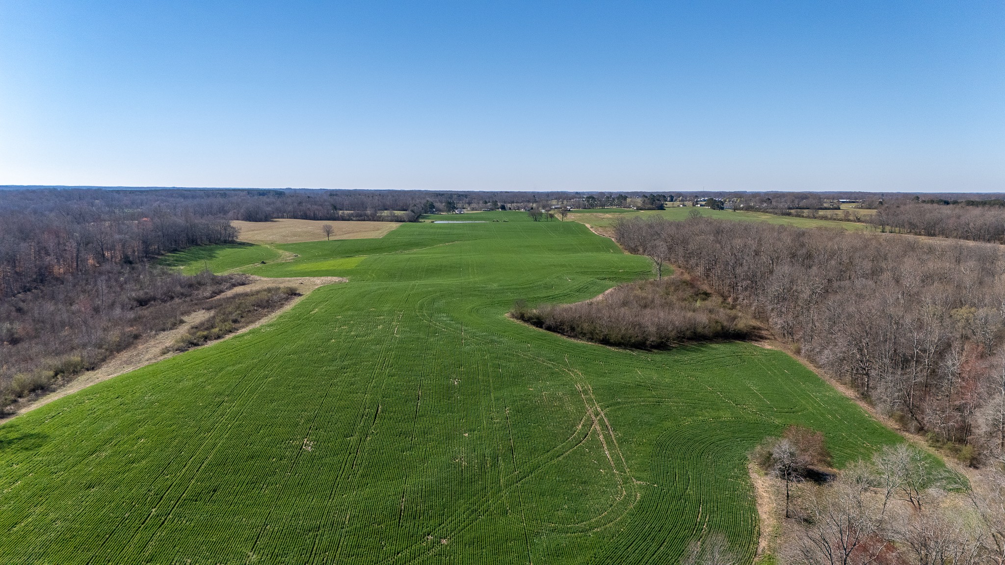48 Idaho Road Leoma, TN 38468 - Photo 33 of 40 a view of a grassy area