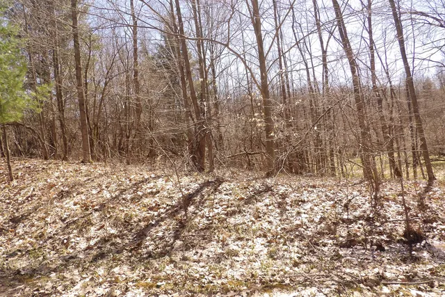 $2,900 | 23042 Miramichi Drive, Evart, MI 49631