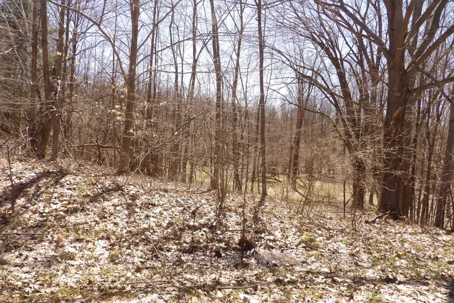 $2,900 | 23042 Miramichi Drive, Evart, MI 49631