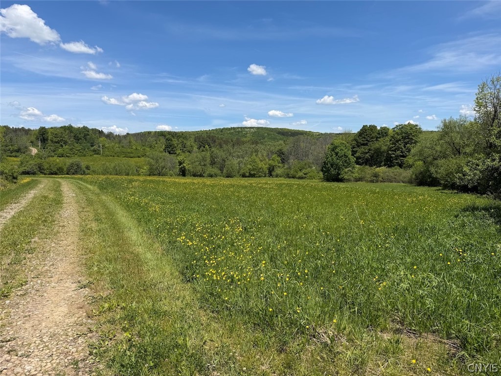 North Branch Road Friendship, NY 14739 - Photo 18 of 27