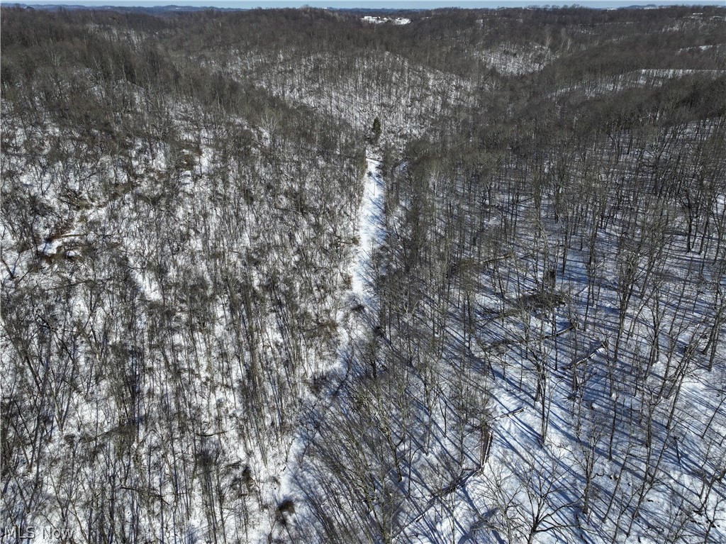0 Tract 4 Twp Road Woodsfield, OH 43793 - Photo 12 of 34