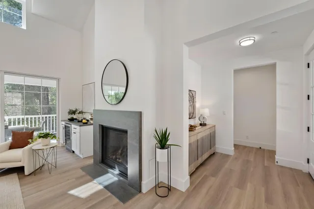 a living room with furniture a fireplace and a potted plant