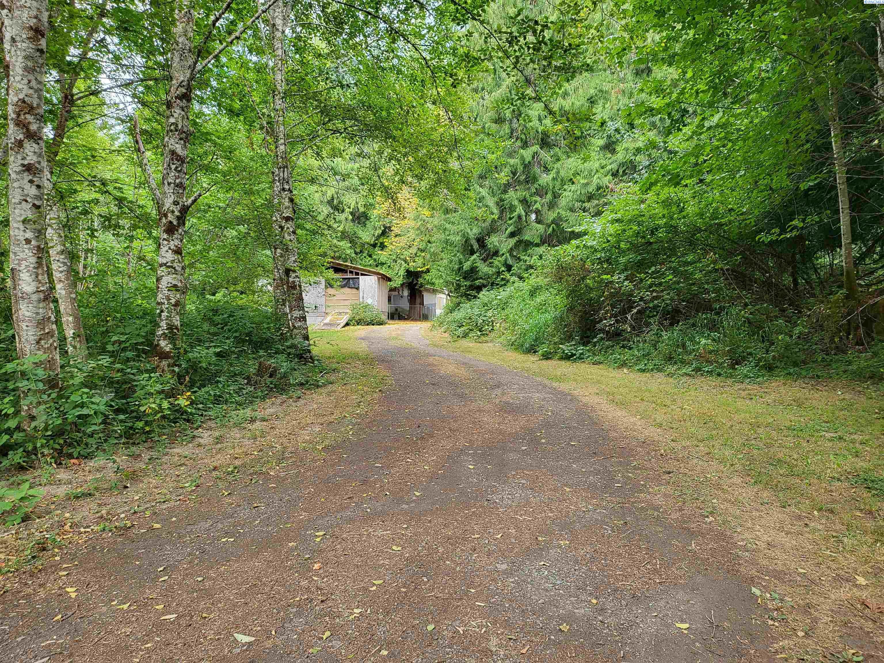 117 Cedar Grove Road Randle, WA 98377 - Photo 4 of 49 Gallery Image 4