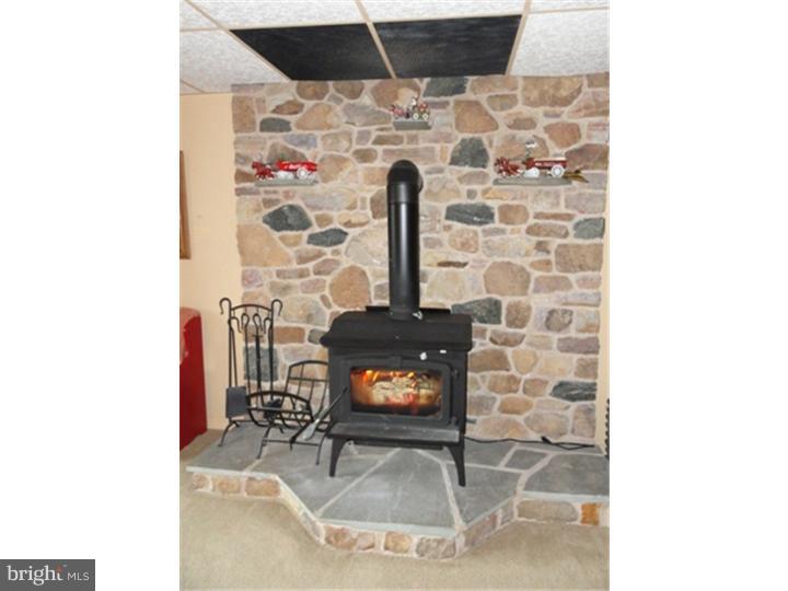 51 Blue Ridge Road Reading, PA 19606 - Photo 13 of 25 Fireplace