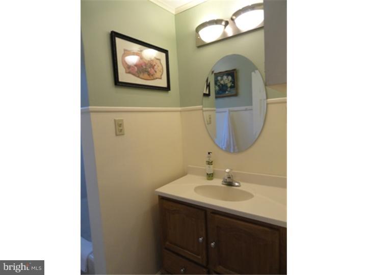 51 Blue Ridge Road Reading, PA 19606 - Photo 20 of 25 Bathroom