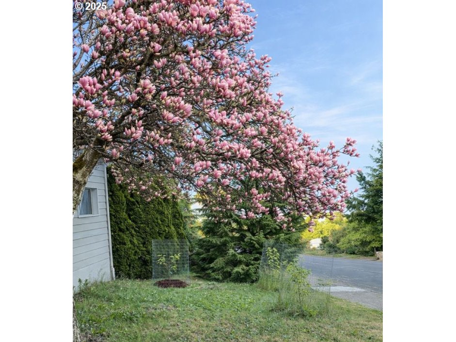 815 Northwest Merrie Drive Corvallis, OR 97330 - Photo 40 of 48